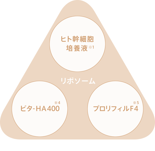 浸透性リポソームカプセル イメージ図